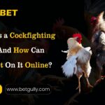 play Cockfighting Games