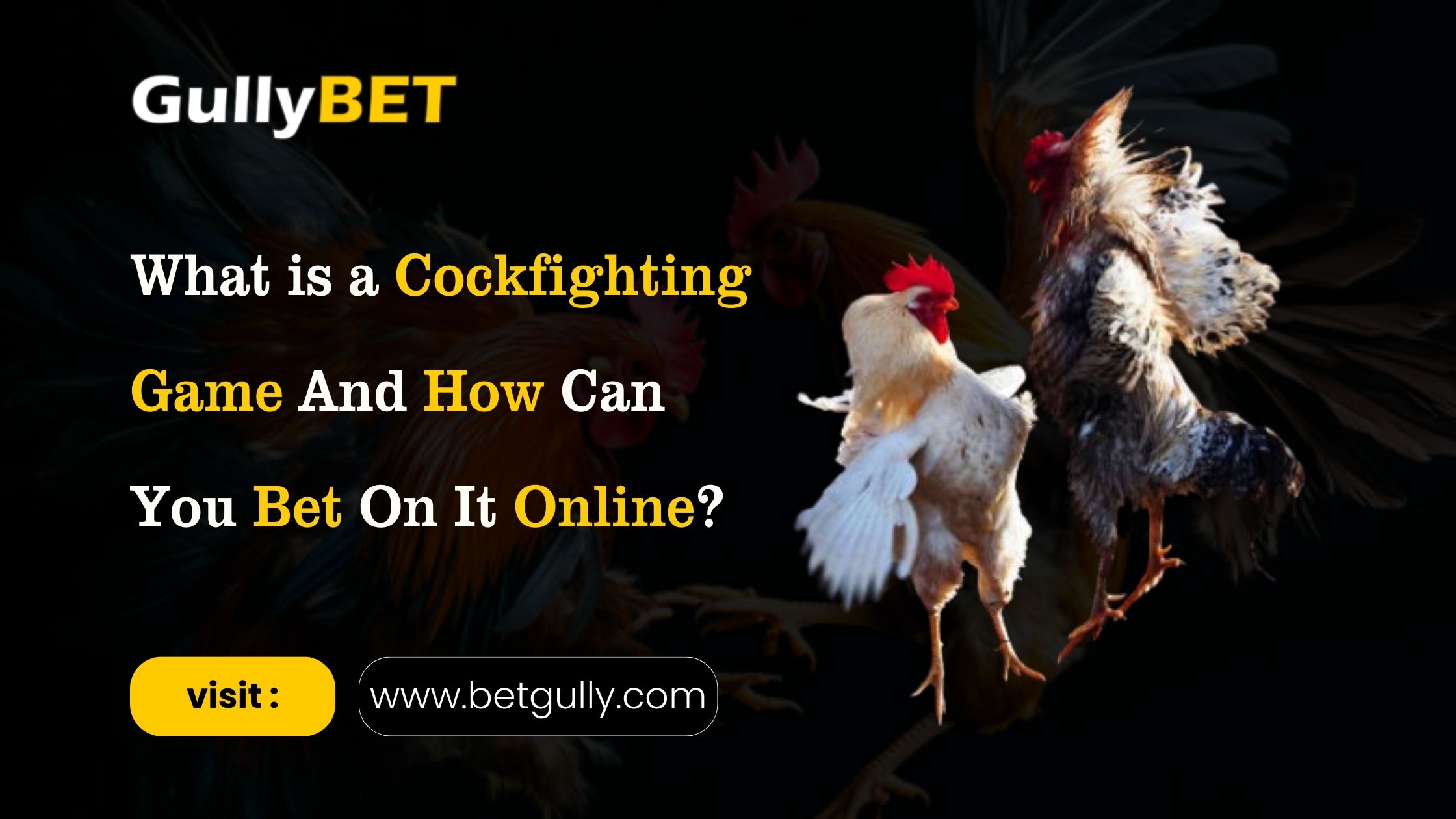 play Cockfighting Games